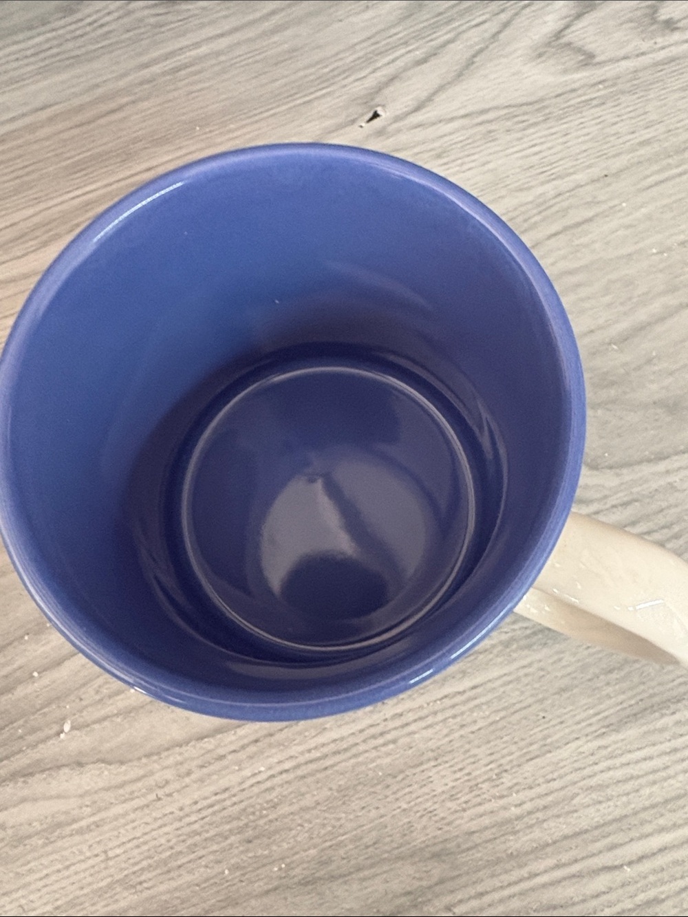 Ceramic Daisy Floral Mug with Blue Interior - Picture 4 of 6